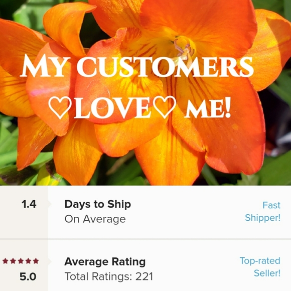 Sienna Sky Size L Leopard Animal Print Midi Skirt - Picture 6 of 6